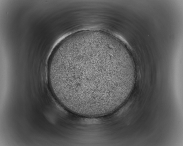 X0000085241079200703301742