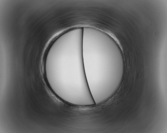 X0000085241080200703301742