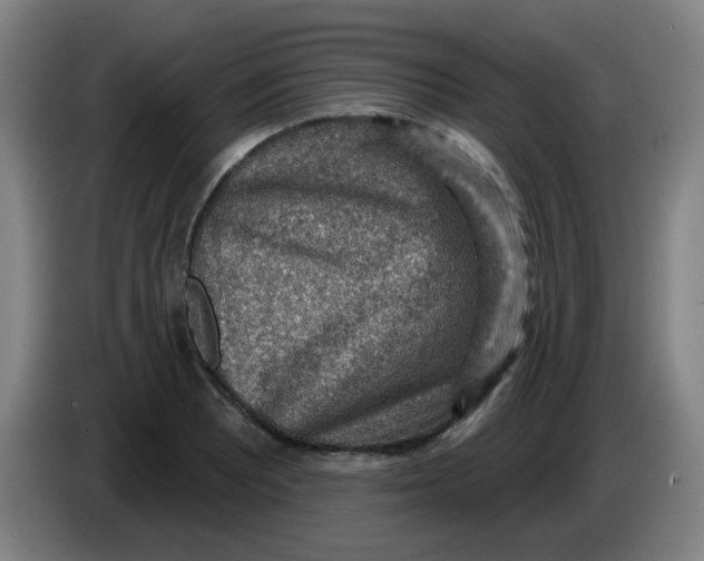 X0000085241081200703301742