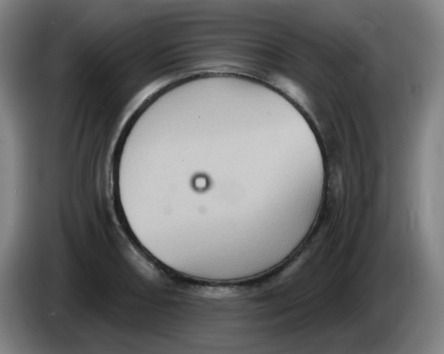 X0000085241082200703301742