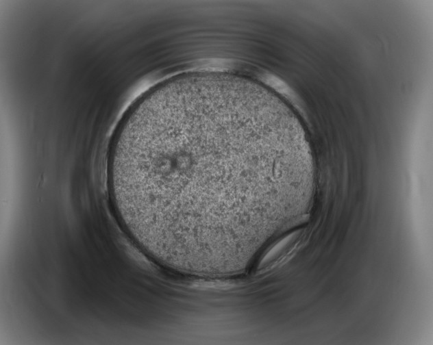 X0000085241083200703301742