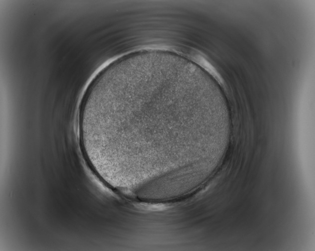X0000085241084200703301742