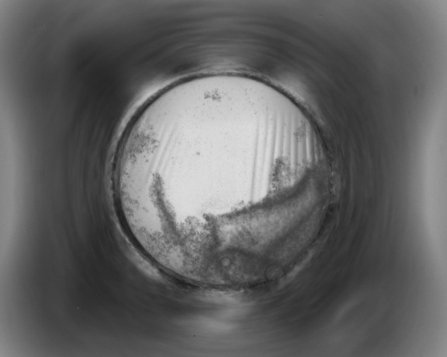 X0000085241086200703301742