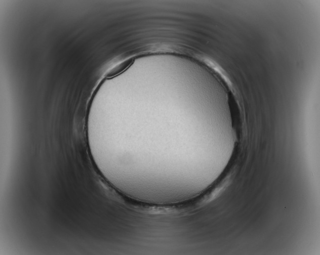 X0000085241089200703301742