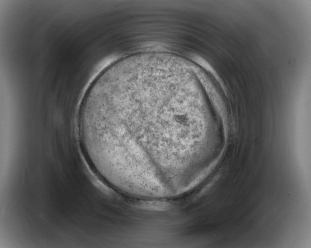 X0000085241090200703301742