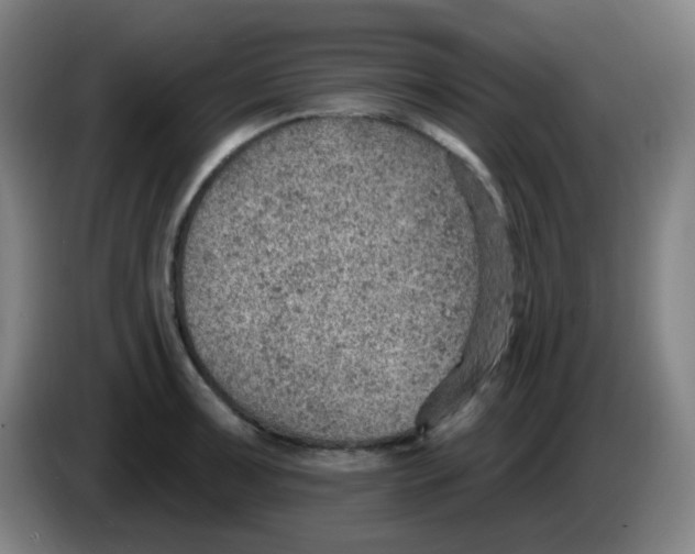 X0000085241091200703301742