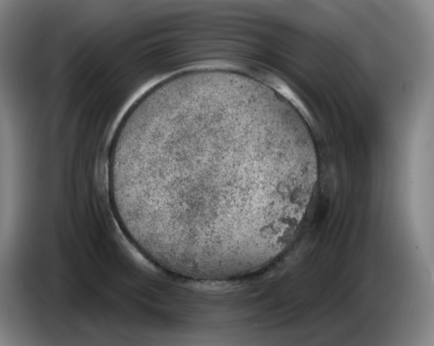 X0000085241092200703301742