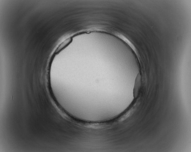 X0000085241093200703301742