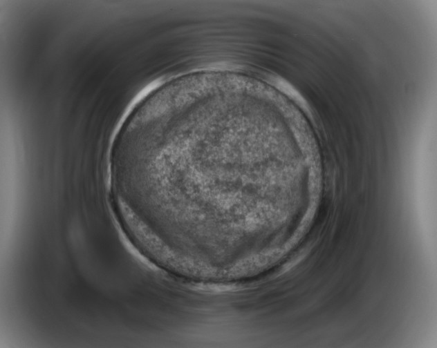 X0000085241095200703301742