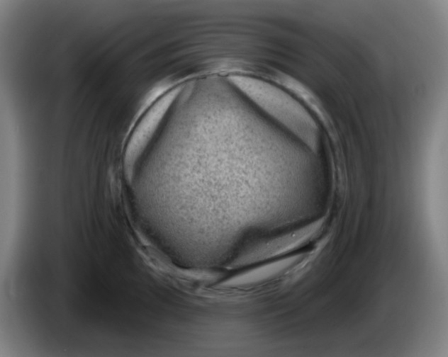 X0000085241097200703301742