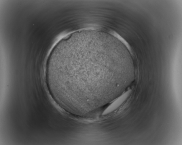 X0000085241099200703301742