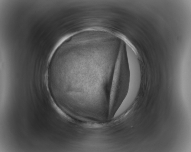 X0000085241100200703301742