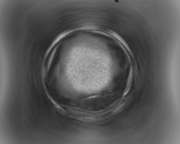 X0000085241101200703301742