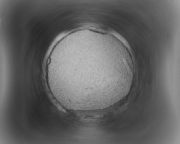 X0000085241104200703301742