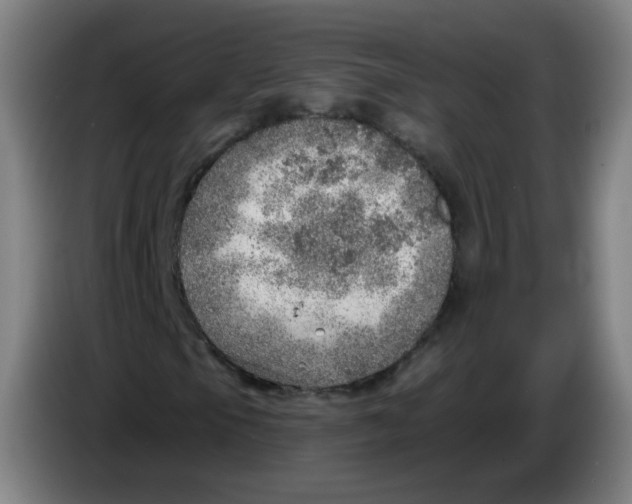 X0000085241105200703301741
