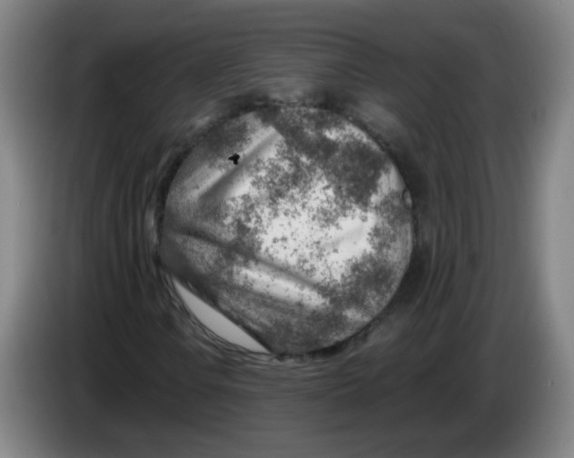 X0000085241106200703301741