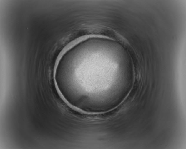 X0000085241108200703301741