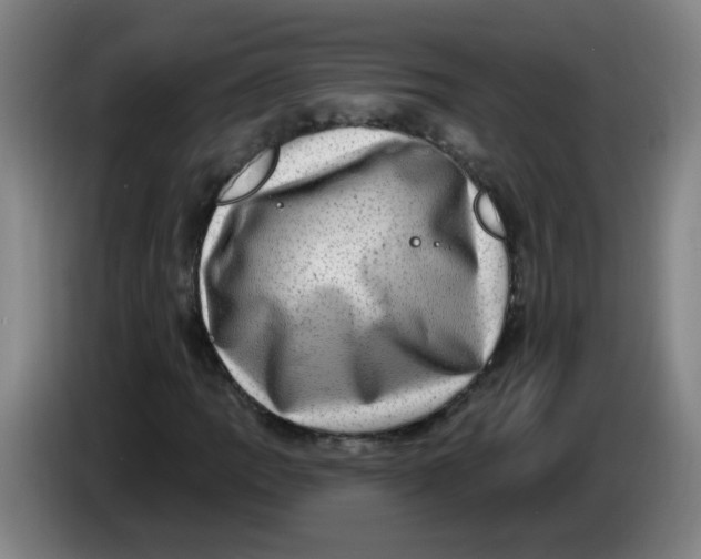 X0000085241109200703301741