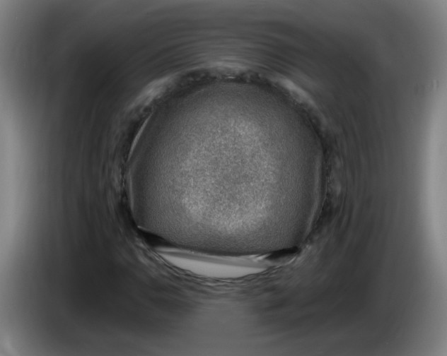 X0000085241110200703301741