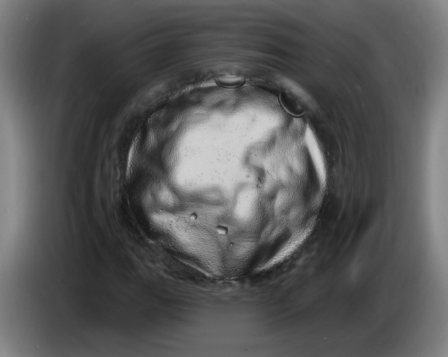 X0000085241111200703301741