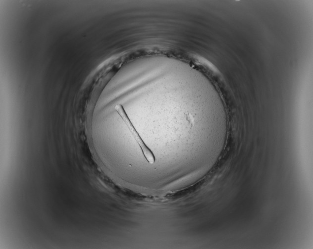 X0000085241112200703301741
