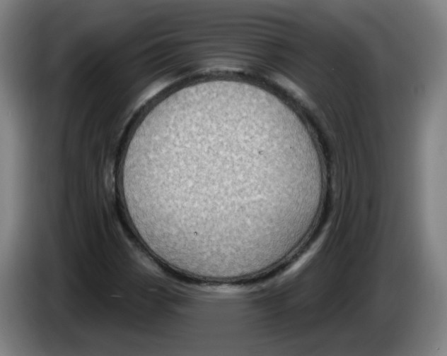 X0000085241113200703301741
