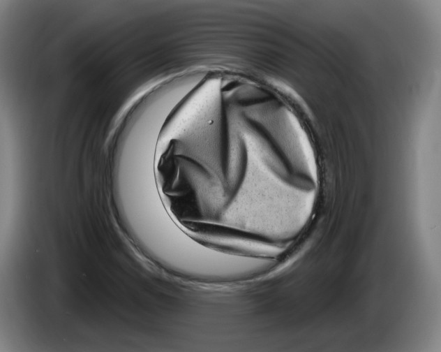 X0000085241114200703301741