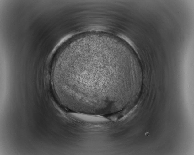 X0000085241115200703301741