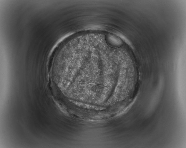 X0000085241117200703301742