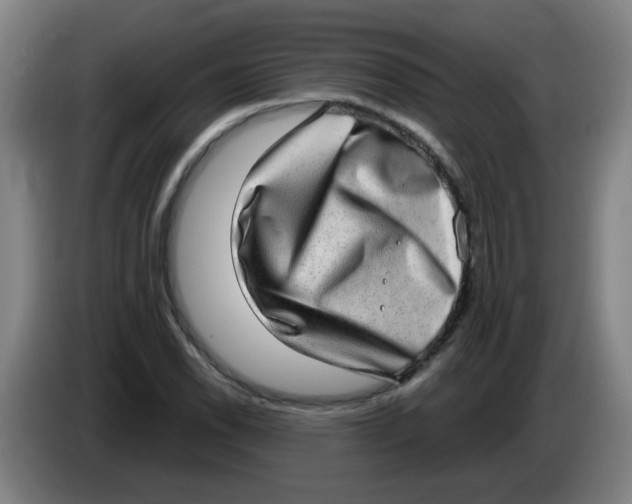 X0000085241118200703301742