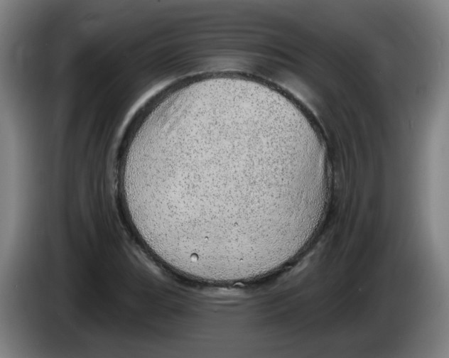 X0000085241119200703301742