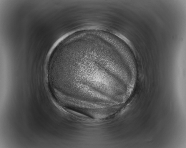 X0000085241120200703301742