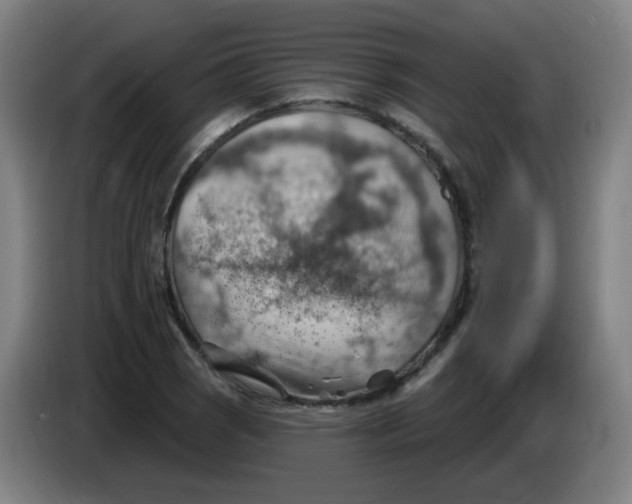 X0000085241121200703301742
