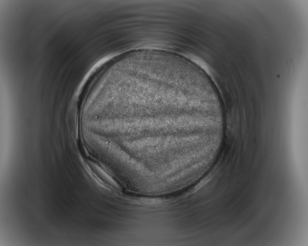 X0000085241123200703301742