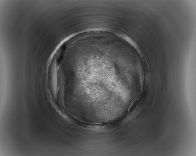 X0000085241124200703301742