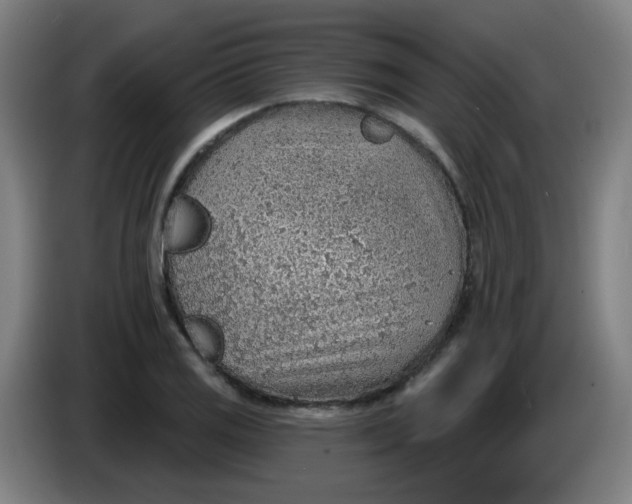 X0000085241125200703301742