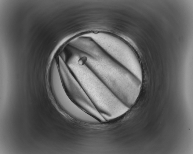 X0000085241128200703301742