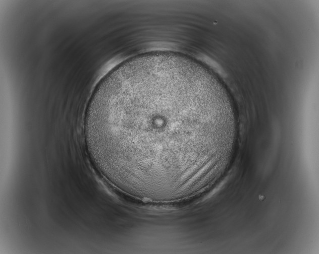 X0000085241129200703301742