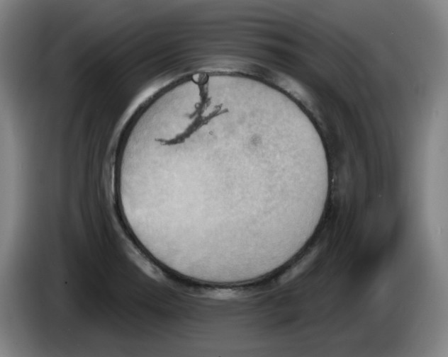 X0000085241130200703301742