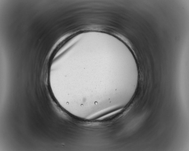 X0000085241131200703301742