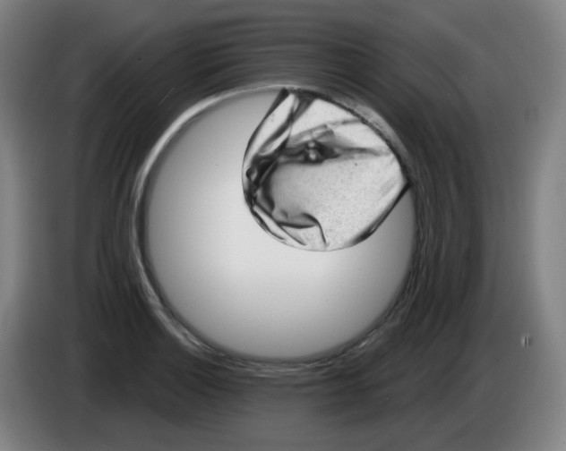 X0000085241132200703301742