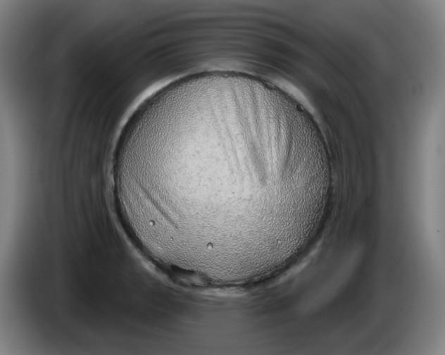 X0000085241133200703301742