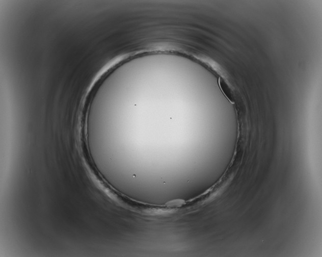 X0000085241134200703301742