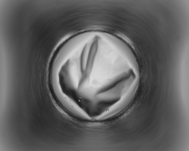 X0000085241135200703301742