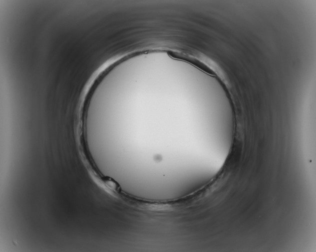 X0000085241136200703301742