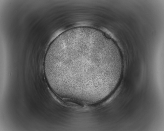 X0000085241137200703301742