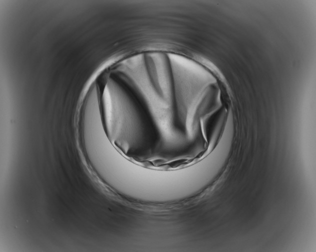 X0000085241138200703301742