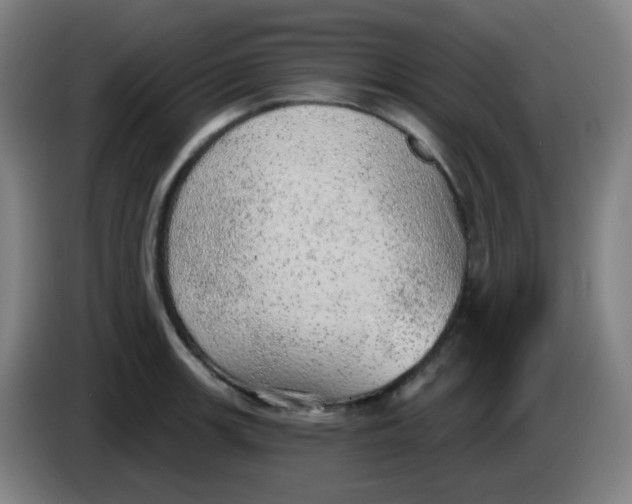 X0000085241139200703301742