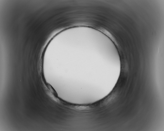 X0000085241140200703301742