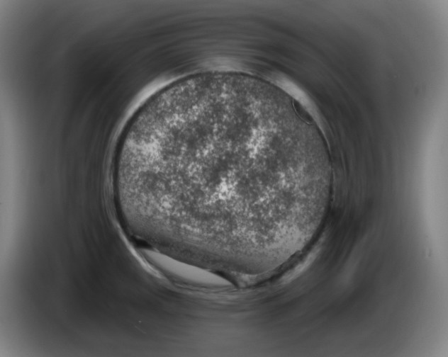 X0000085241141200703301742